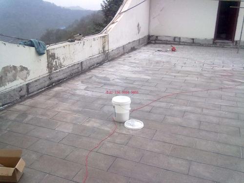 除苔加固材料